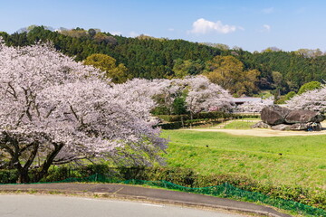 春の石舞台古墳　奈良県明日香村にて © photop5
