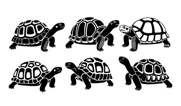 Decorative tortoise silhouettes black vector stylized turtle pattern design collection