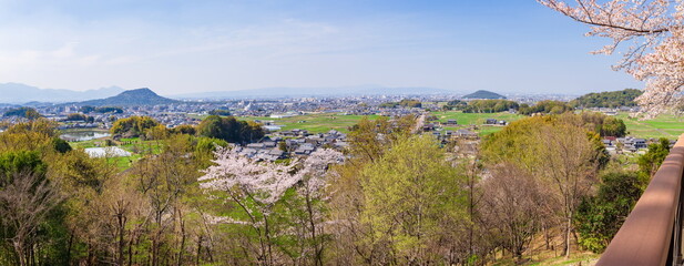 甘樫丘から眺める大和三山　奈良県明日香村にて © photop5