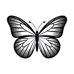 A symmetrical black and white illustration of a butterfly with detailed wings © HABIBULLA