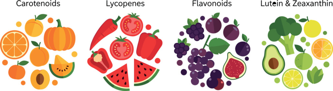 Phytonutrients food groups with carotenoids lycopenes flavonoids lutein and zeaxanthin healthy nutrition vector illustration