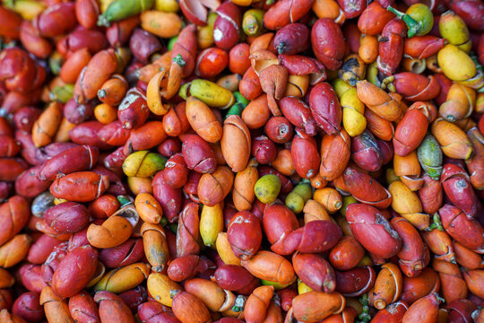 A close-up of a pile of colorful melinjo (gnetum gnemon) skins shows the texture details.
