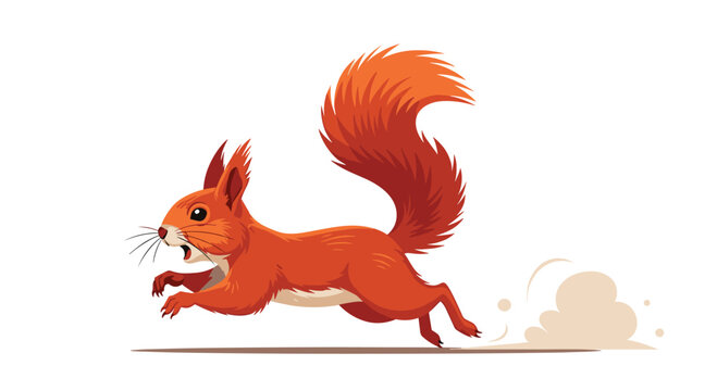 Fast red squirrel running quickly with its mouth open and bushy tail trailing behind it on a white background for a nature or animal study.