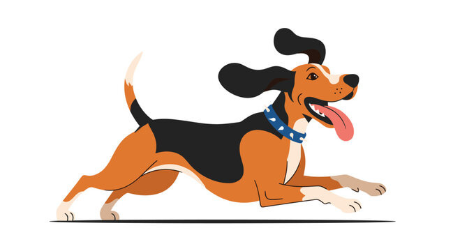 Energetic beagle puppy running fast with its ears flapping and tongue hanging out wearing a spiked blue collar on a white background.