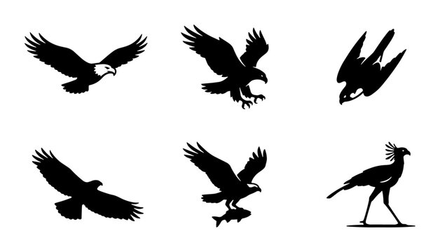 Black bird silhouettes set, flying eagle and hawk vector icons, 6 predatory bird illustrations, wild raptor and falcon graphics for logos