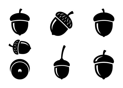 Minimalist acorn icon set, black silhouette oak nut vector collection, 6 forest seed symbols for autumn branding and nature logos