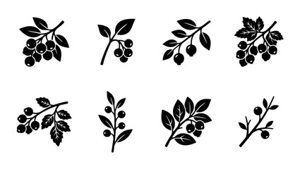Vintage berry branch silhouettes, collection of 8 botanical berry icons, black wild berry fruit vector set for organic food packaging and logo design © Touhidul