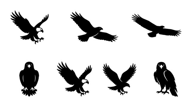 Bald eagle silhouette vector collection, flying hawk and falcon bird icons, set of 7 black raptor eagle graphics for logos and wildlife branding