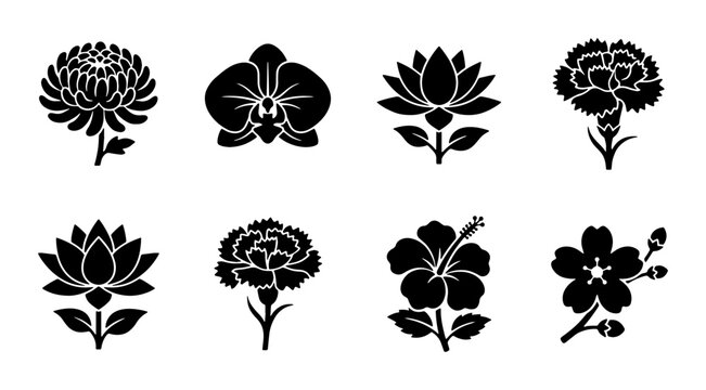 Minimalist black flower silhouettes, set of 8 floral icons including lotus and orchid, botanical vector elements for logo design and branding