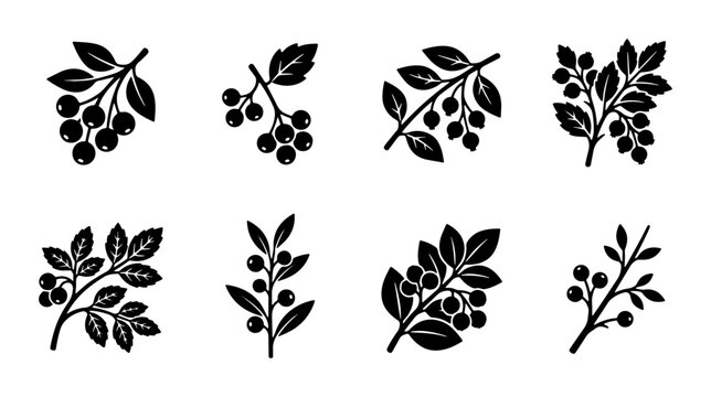 Vintage berry branch silhouettes, botanical forest fruit icons set of 8 vectors, black garden foliage and wild berries for organic branding