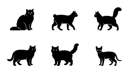 Black cat silhouette collection, set of 6 domestic feline vector icons, minimalist pet animal silhouettes for logo design and web graphics © Shohag