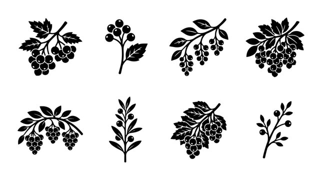Vintage berry branch silhouettes, set of 8 botanical vector icons, black hand drawn garden fruit and leaf illustrations for organic branding