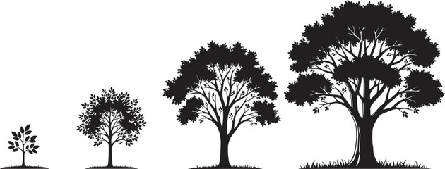 Fototapeta premium Growth progression of a tree depicted in a clear sequential illustration, from a small sapling to a majestic, fully mature arboreal form, symbolizing natural development and life cycle