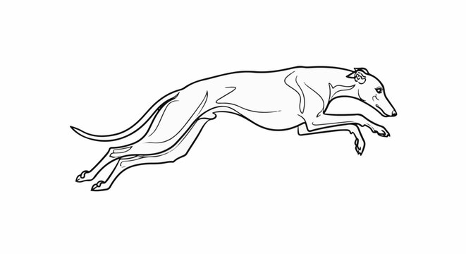 Line art depicts a sighthound mid-gallop, body stretched in motion