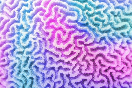 Abstract colorful background - Organic texture of the hard brain coral