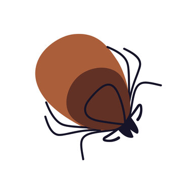 Tick bug. Bloodsucker insect icon. Outdoor mite, parasite. Bloodsucking pest. Small ixodes ricinus, encephalitis carrier, top view. Flat vector illustration isolated on white background
