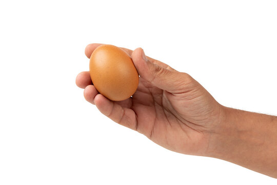 Male hand holding a raw chicken egg isolated no background cutout