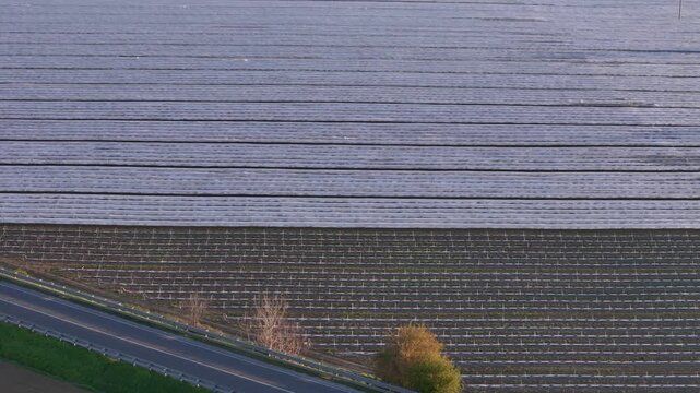 Fruit cultivation in Pianura Padana near Alseno Piacenza Emilia Romagna Italy with low tunnel plastic rows and adjacent road SS9 Via Emilia, drone pullback with camera tilt up