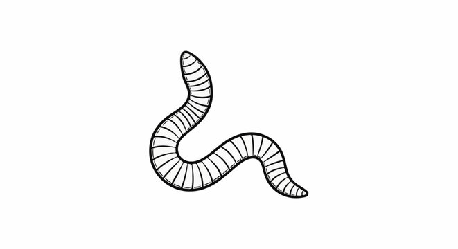 Simple line art drawing of a segmented worm in a wavy shape