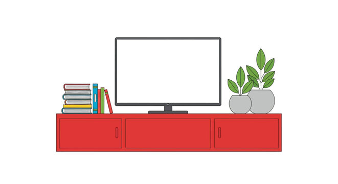 A minimalist living room setup with a tv books and plants