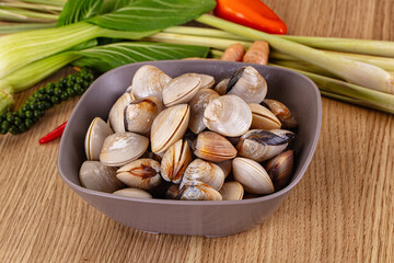 Raw fresh wild clams mollusc © Andrei Starostin