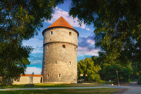 Kiek in de Kok medieval artillery tower in Tallinn