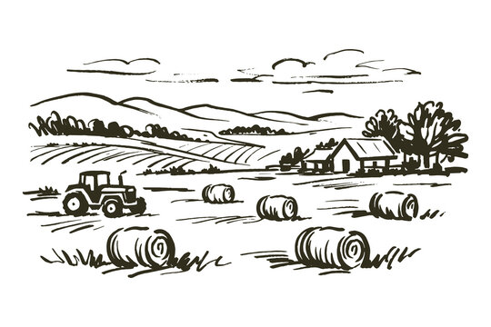 Farm landscape with tractor ink sketch vector illustration