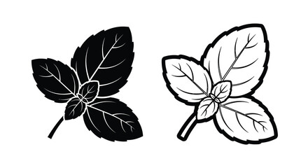Two basil leaves in a striking black outline silhouette © Abir
