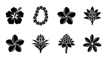 Tropical Hawaiian flower icons, black silhouette floral set of 8 vector elements, hibiscus and plumeria blossom symbols for summer branding © Nadia
