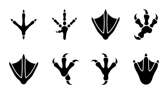 Bird footprint icons set, black animal paw print silhouettes, collection of 8 waterfowl and predatory bird tracks, wildlife vector elements