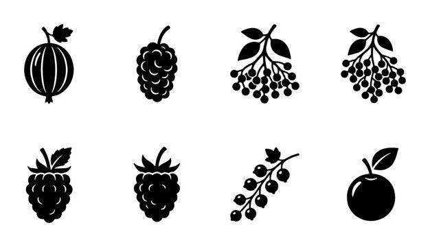 Minimalist berry fruit icon set, black silhouette garden berries collection, 8 vector symbols of raspberry, gooseberry, mulberry and currant