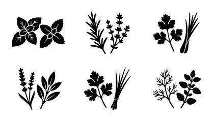 Culinary herbs silhouette icon set, fresh organic aromatic spices vector, black botanical garden plant illustrations for restaurant menu design © Rehena