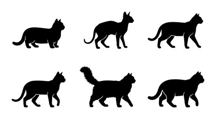 Black cat silhouettes collection, set of 6 domestic feline breed vector icons, standing and walking pet animal profiles on white background © Lima