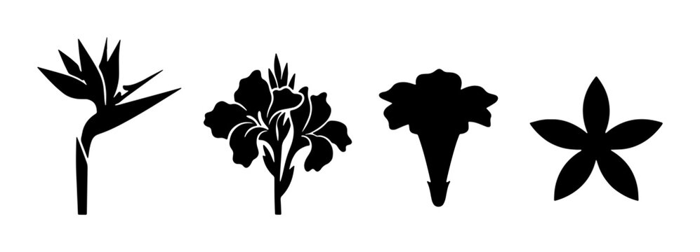 Tropical flower silhouettes vector set, black floral icons including bird of paradise and hibiscus, exotic botanical plant elements for logo design