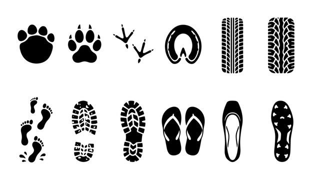 Black footprint and track icons set, animal paw prints and human shoe sole marks, tire tread and bird trail vector silhouettes on white background