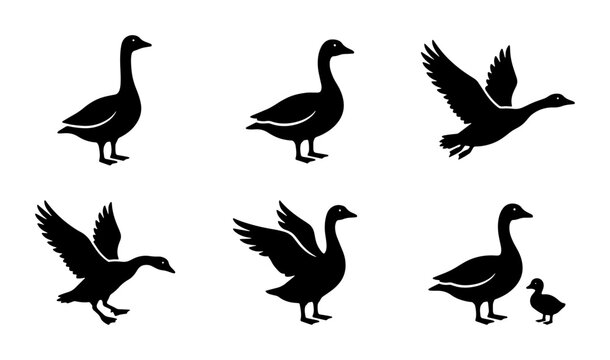Goose silhouette collection, black waterfowl bird icons in various poses, set of 6 vector illustrations featuring flying and standing geese