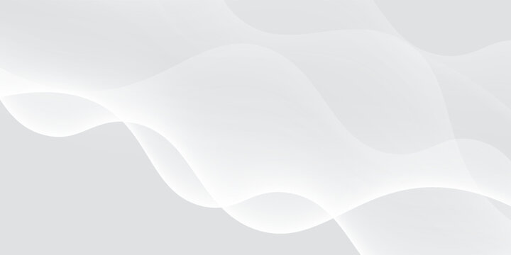 Curtain white wave soft shadow and blurred. frabic shapes curve designs. abstract backround on isolated. Vector Modern