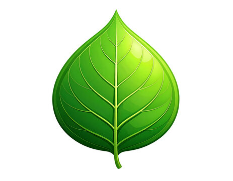 Green leaf with visible veins on Transparent Background PNG