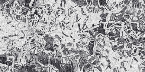 Fototapeta premium Complex abstract organic interconnected pattern with a granular texture in grayscale, suitable for scientific or artistic backgrounds and intricate design elements