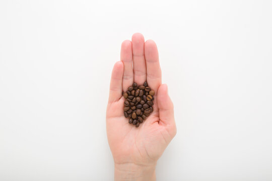 Young adult woman opened palm holding heap of fresh dark brown coffee beans on light gray table background. Closeup. Top down view.