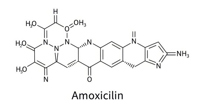 Detailed Chemical Structure of Amoxicillin Antibiotic on White.