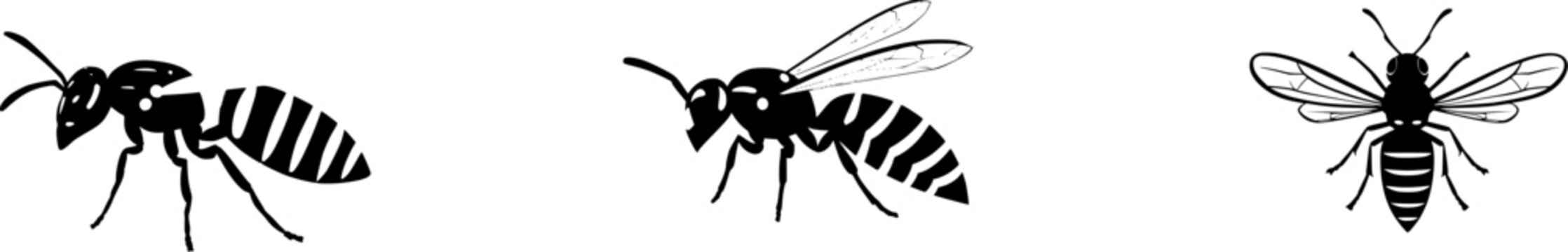 An ultra-realistic photograph captures a solitary Wasp (Yellowjacket) with its distinct black and yellow stripes and transparent wings, isolated on a pure white background