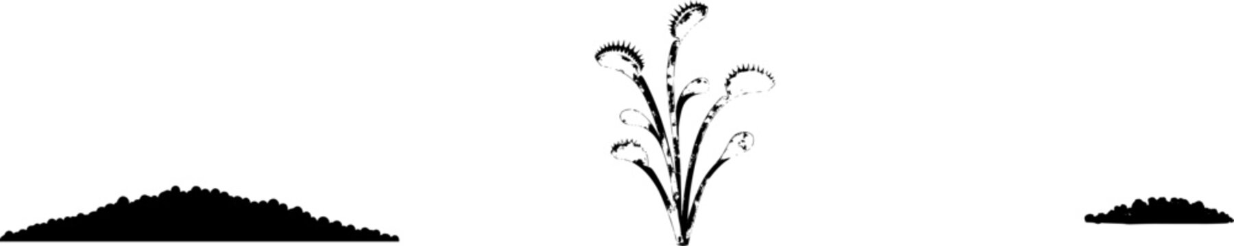 A Venus Flytrap seedling, its tiny traps no bigger than a pinhead, stands alone against a pristine white backdrop, showcasing intricate details of its microscopic teeth in an ultra-realistic