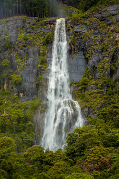 Bambarakanda Falls, waterfall in the forest.