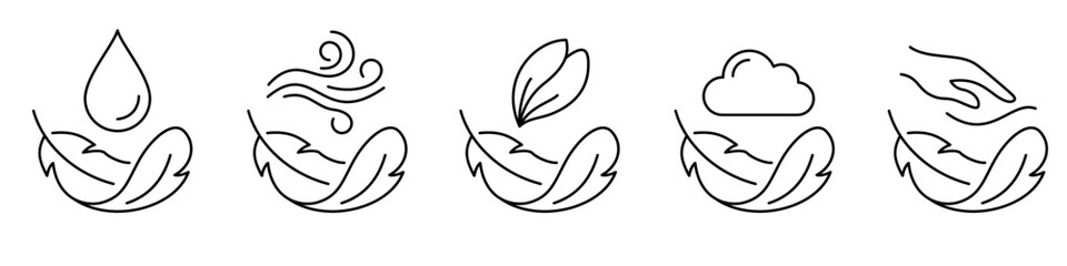 Set of minimalist icons featuring a feather with various natural elements. Concept of softness, lightness, and delicate care in linear style. Vector illustration. © chekman