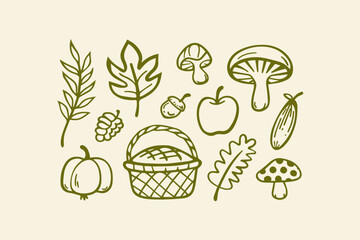 Autumn harvest doodle set featuring a pumpkin acorn mushrooms apple leaves a basket all in a simple line drawing style on a cream background hand drawn line art mushroom illustration © Foysal