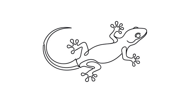 Minimalist continuous line drawing of a gecko lizard vector