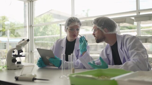Scientists are working at vegetable production greenhouse. Food, technology.