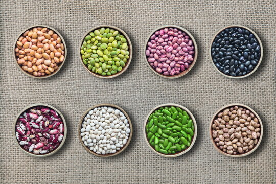 eight varieties of beans on plates