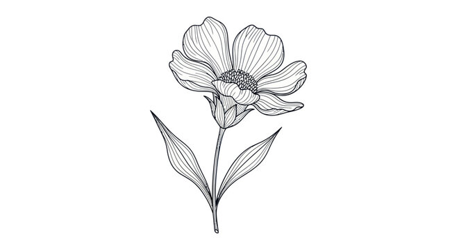 Detailed Drawing of a Flower.